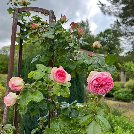 Bed and Breakfast Le Loriot Champagne-et-Fontaine Экстерьер фото